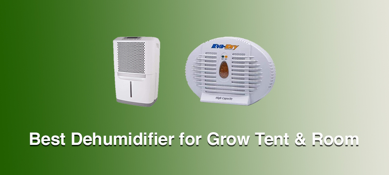Best Dehumidifiers for Grow Tent