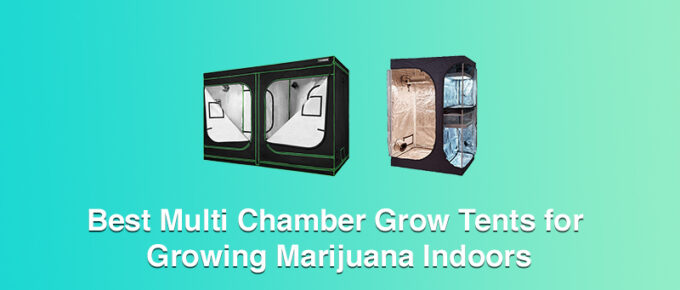 Best Multi Chamber Grow Tents for Growing Marijuana Indoors