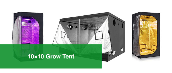 Best 10x10 Grow Tent
