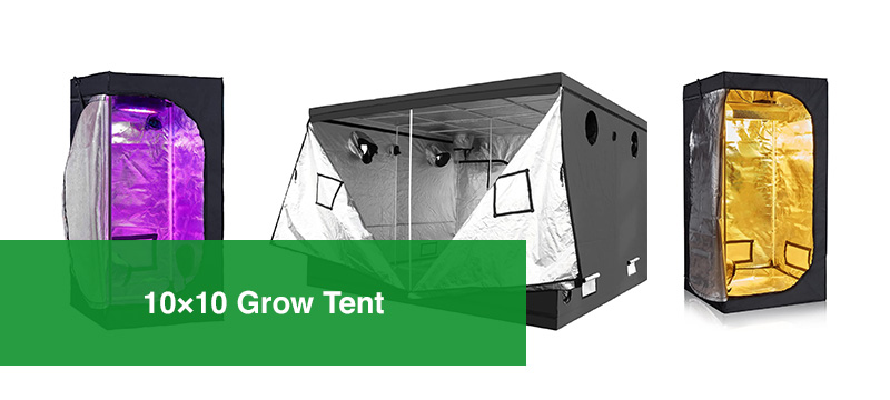 Best 10x10 Grow Tent
