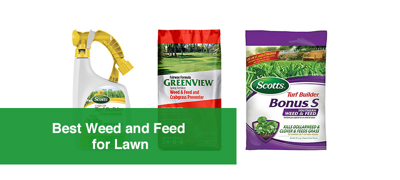 Best Weed and Feed for Lawn