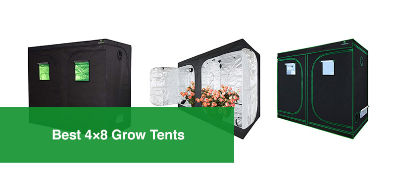 Best 4×8 Grow Tents