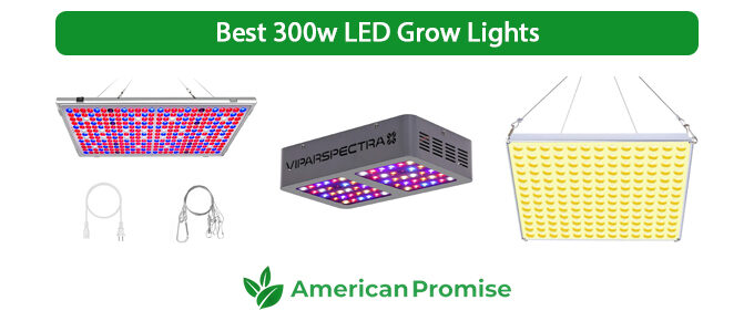 Best 300w LED Grow Lights