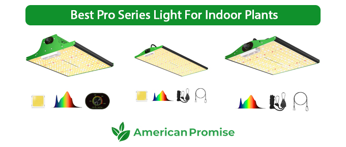 Best Pro Series Light For Indoor Plants