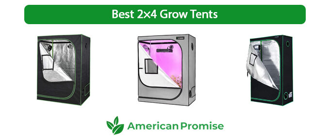Best 2×4 Grow Tents