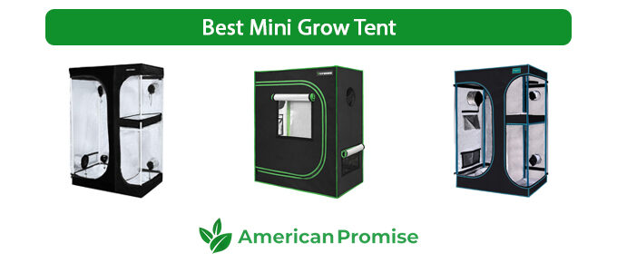 Best Mini Grow Tent