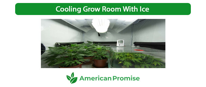 Cooling Grow Room With Ice