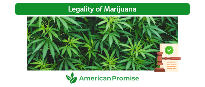 Legality of Marijuana