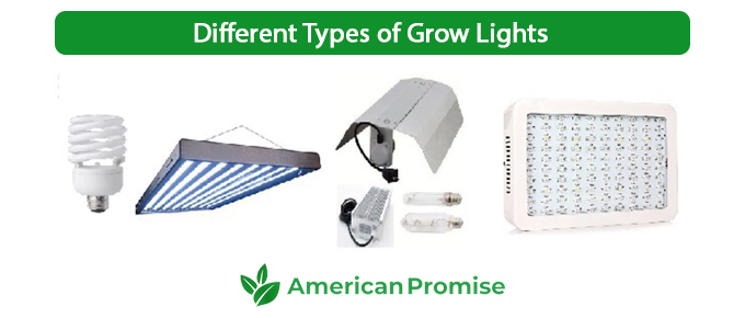 Different Types of Grow Lights