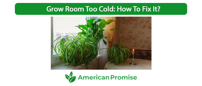 Grow Room Too Cold How To Fix It