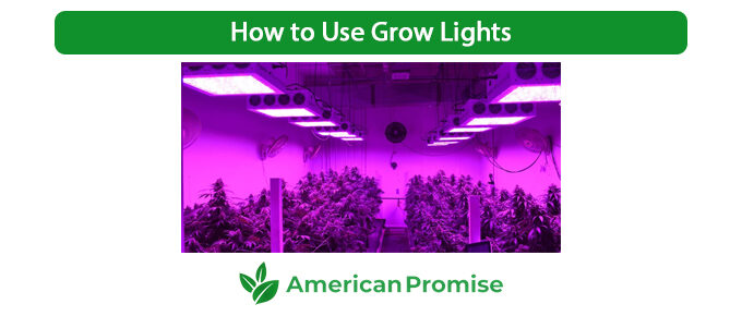 How to Use Grow Lights