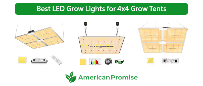Best LED Grow Lights for 4x4 Grow Tents