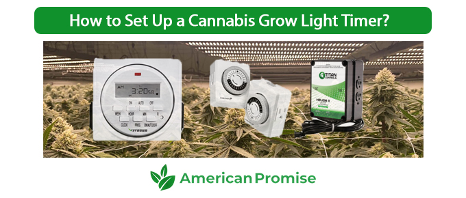How to Set Up a Cannabis How to Set Up a Cannabis Grow Light Timer?Grow Light Timer?