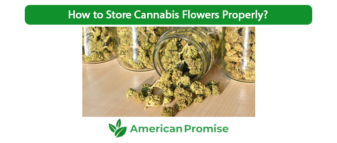 How to Store Cannabis Flowers Properly?