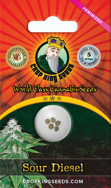 Sour Diesel Feminized Marijuana Seeds