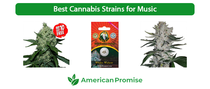 Best Cannabis Strains for Music