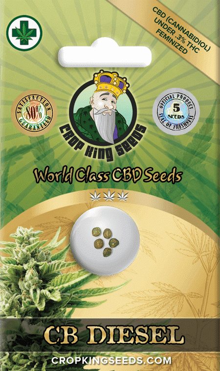 CB Diesel CBD Feminized Marijuana Seeds