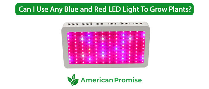 Can I Use Any Blue and Red LED Light To Grow Plants?
