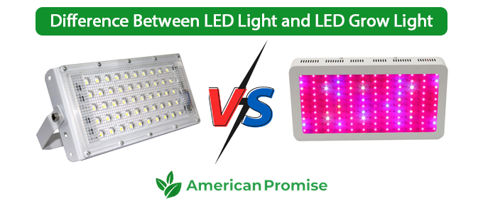 Difference Between LED Light and LED Grow Light