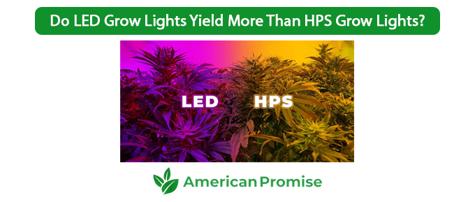 Do LED Grow Lights Yield More Than HPS Grow Lights?