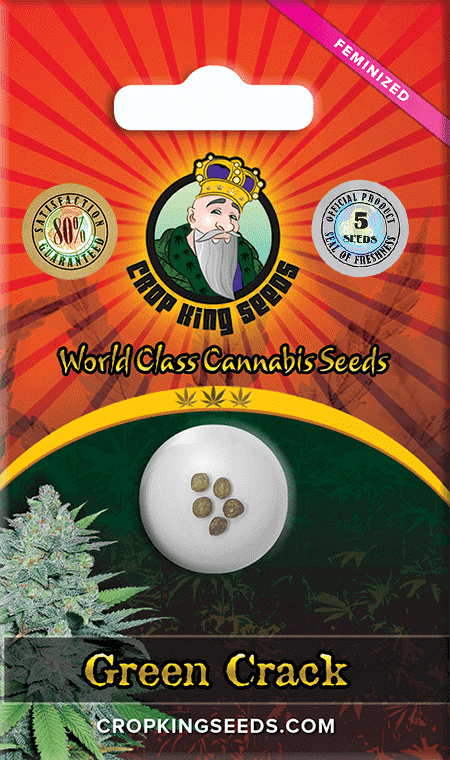Green Crack Feminized Marijuana Seeds