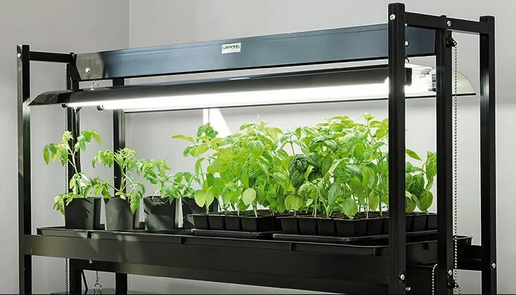 Tips to avoid mistakes while using the grow lights