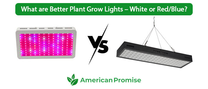 What are Better Plant Grow Lights – White or Red/Blue?