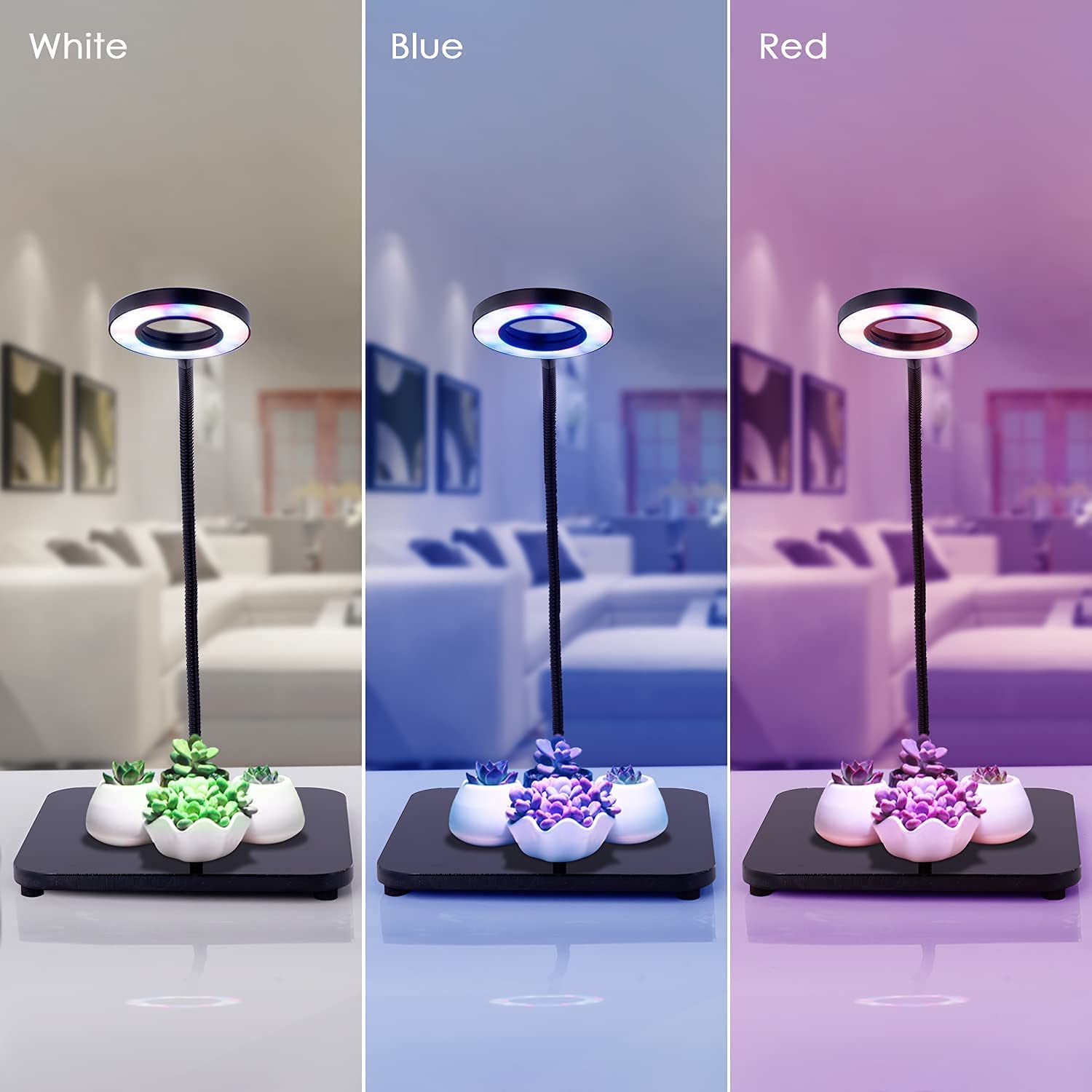 difference between white, red, and blue color grow lights