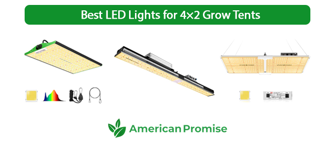 Best LED Lights for 4×2 Grow Tents