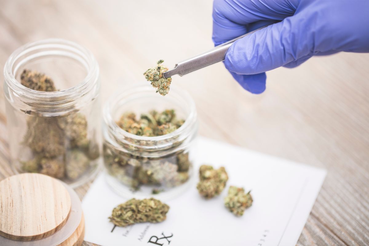 Medicinal Marijuana In Georgia
